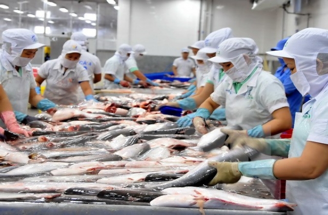 Nắm chắc cơ hội để đẩy mạnh xuất khẩu vào thị trường EU