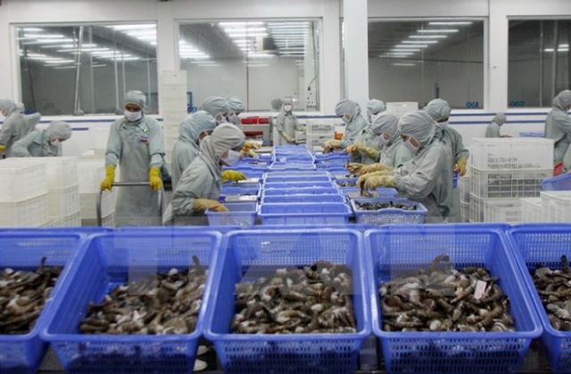 Xuất khẩu tôm khó đạt mục tiêu hơn 3 tỷ USD trong năm nay