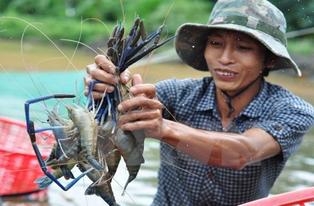 Khởi động bình chọn danh hiệu chất lượng vàng thủy sản Việt Nam 2017