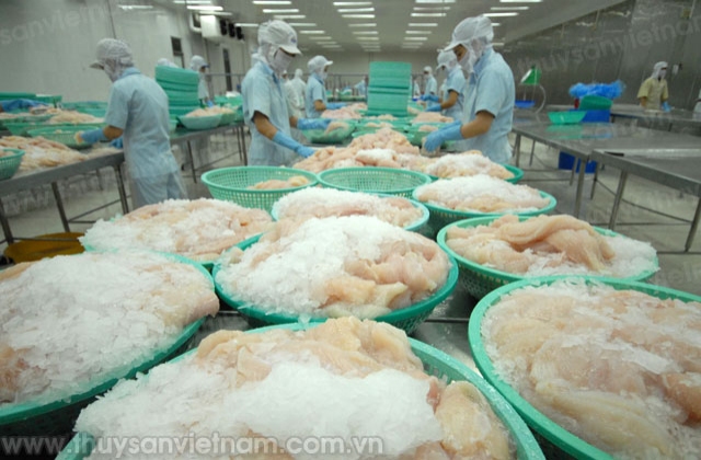 Mỹ đưa ra phán quyết sơ bộ với cá tra Việt Nam