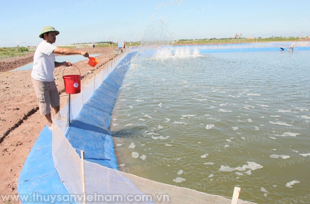  Đẩy mạnh công tác thú y thủy sản