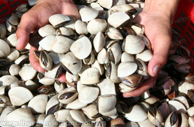 Thanh Hóa: Sản lượng thủy sản hàng năm tăng khá