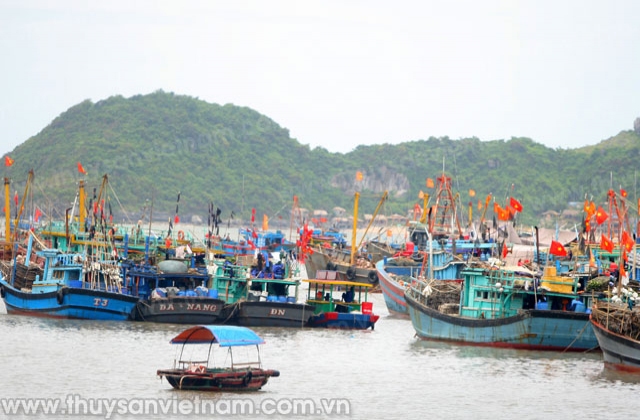 Hải Phòng: Thêm 2 tàu cá vỏ thép được phê duyệt đóng mới