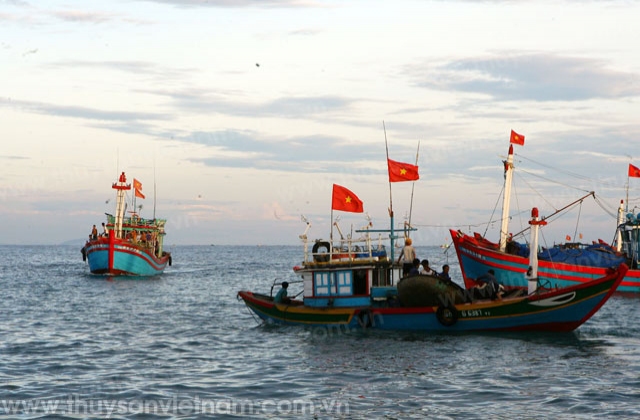 Quảng Ngãi: Thu 500 triệu đồng sau 20 ngày ra khơi