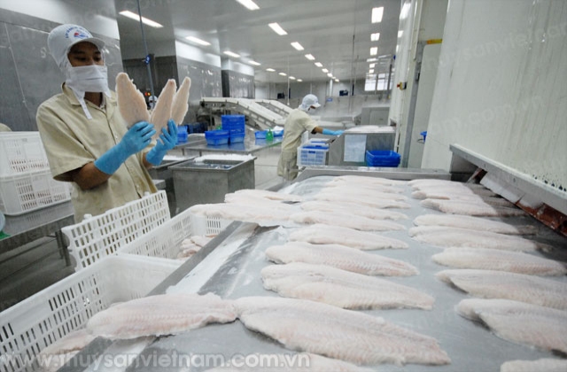 Cá tra fillet vẫn chiếm tỷ trọng lớn trong xuất khẩu