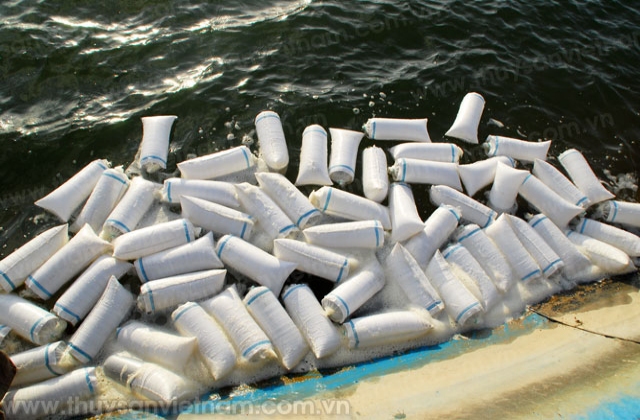 Trà Vinh: Công bố lịch thời vụ thả nuôi thủy sản năm 2016