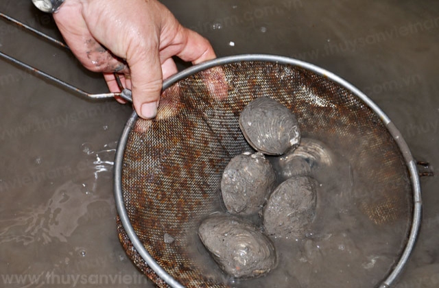 Quảng Ninh: Kiểm tra tình hình nuôi và sản xuất ngán giống