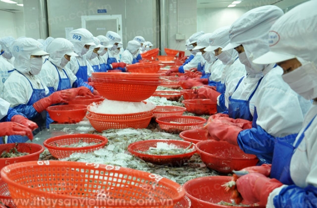 Dự báo, xuất khẩu tôm quý IV tiếp tục giảm mạnh