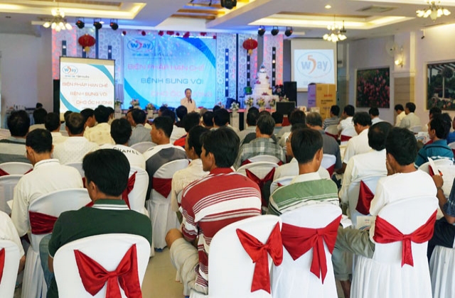 5way: Tập huấn chuyên đề hạn chế bệnh sưng vòi trên ốc hương