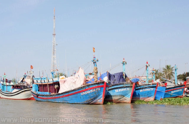 Bình Định: Đẩy mạnh hoạt động khai thác biển tại xã Cát Khánh