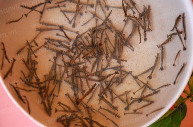 Bà Rịa - Vũng Tàu: Gia hạn thời gian hoạt động các cơ sở sản xuất giống