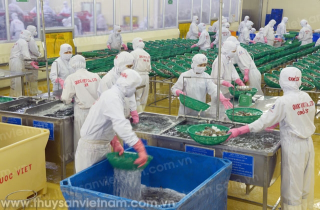 Cà Mau: Xuất khẩu thủy sản năm 2015 giảm mạnh