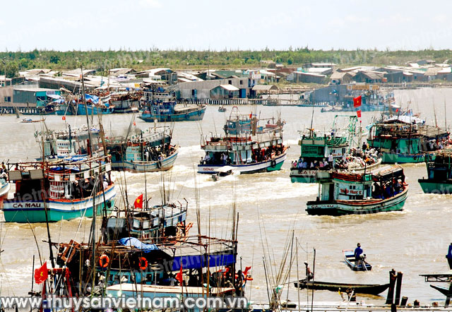 Cà Mau: 61 tàu đăng ký đóng mới theo Nghị định 67
