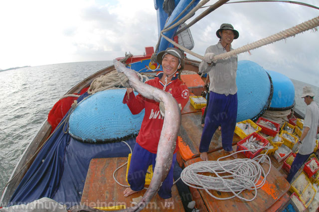 Quy định mới về tín dụng phục vụ phát triển nông nghiệp