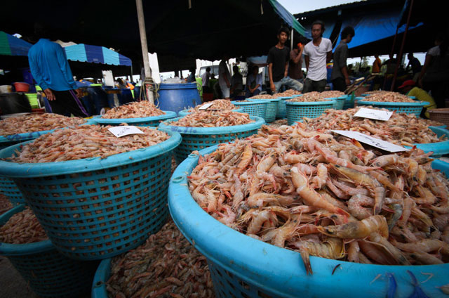 Thị trường tôm thế giới đến năm 2020: Hứa hẹn cơ hội cho tôm Việt Nam