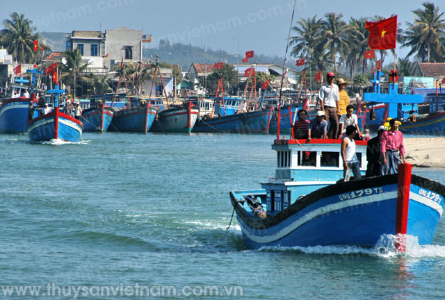 Quảng Ngãi: 25 ngư dân xin rút lui đóng mới tàu cá