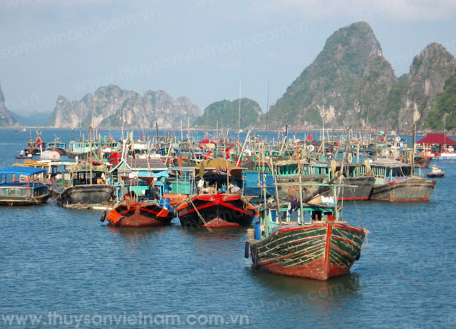 Quảng Ninh: Giải quyết vướng mắc trong thực hiện Nghị định 67