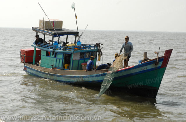 Phú Yên: Thêm 1 Tổ đồng quản lý nghề cá ven bờ được thành lập