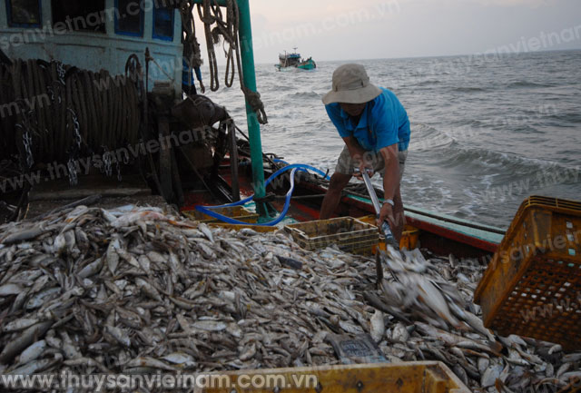 sản lượng thủy sản