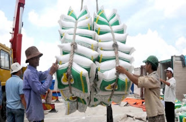 Xuất khẩu gạo:lượng tăng,giá giảm