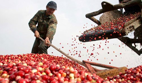 Xây dựng phương thức tiêu thụ nông sản mới