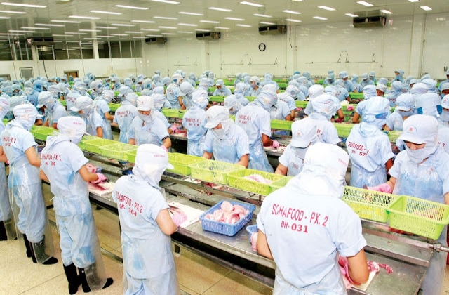 Xuất khẩu nông lâm, thủy sản còn