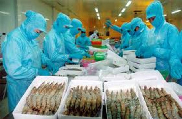 Xuất khẩu tôm sang thị trường Mỹ nhiều khởi sắc