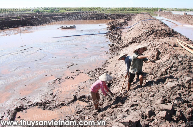 Bức xúc thủy lợi cho nuôi trồng thủy sản