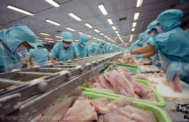 Sản phẩm cá tra cần phải minh bạch