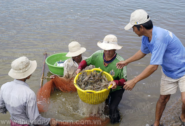 Tiêu thụ nông, thủy sản vẫn “nóng”