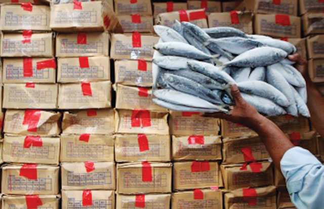 Trung Quốc: Phá đường dây buôn lậu thủy sản trị giá 500 triệu USD