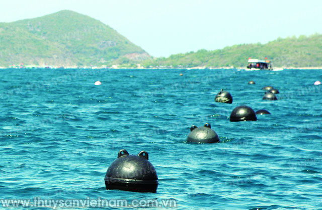 Hòn tằm nuôi trai cấy ngọc