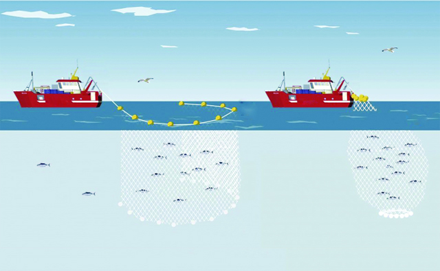 Khắc phục sự cố thường gặp khi khai thác bằng lưới vây