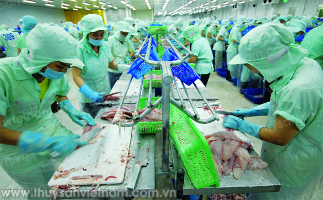 7 tháng, xuất khẩu thủy sản đạt gần 3,6 tỷ USD