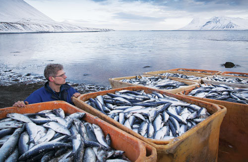 Nga: Sẽ chặn thủy sản Iceland đi qua EU