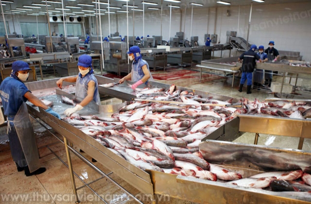 “Nóng” ô nhiễm môi trường trong chế biến thủy sản