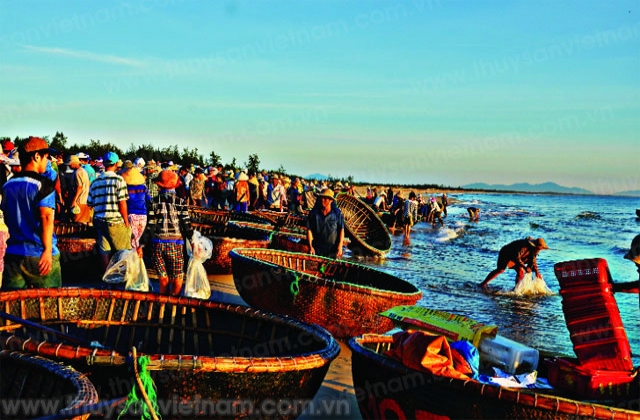 Bình Minh trên chợ cá bãi ngang