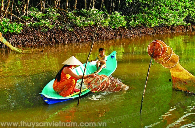 Nâng cao hiệu quả tôm rừng Cà Mau