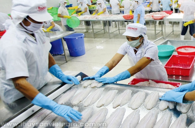 Sửa Nghị định 36 về cá tra