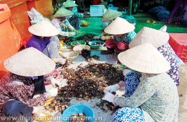 Cua đồng vẫn hút hàng mùa nước nổi