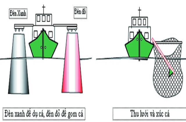 Một số nghề khai thác thủy sản kết hợp với ánh sáng