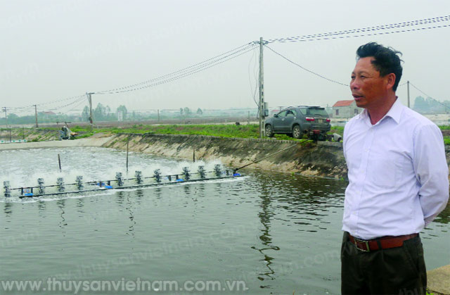 Ông Tin giàu lên từ tôm