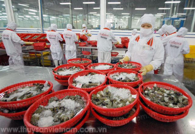 Chờ thời cơ mới cho tôm xuất khẩu