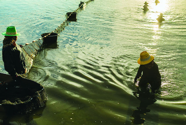 Saphunburi trụ vững giữa 