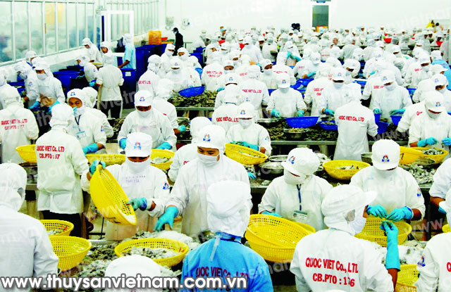 Ngành tôm 2015: Đa dạng hóa phân khúc thị trường