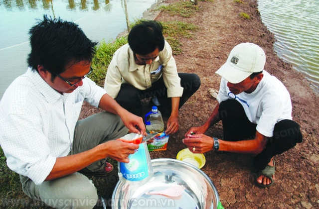 Tăng hiệu quả men vi sinh trong nuôi tôm