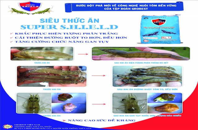 Grobest Việt Nam: Sát cánh với nông dân trong nuôi tôm bền vững