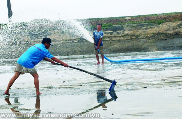 Quản lý bùn đáy trong ao tôm