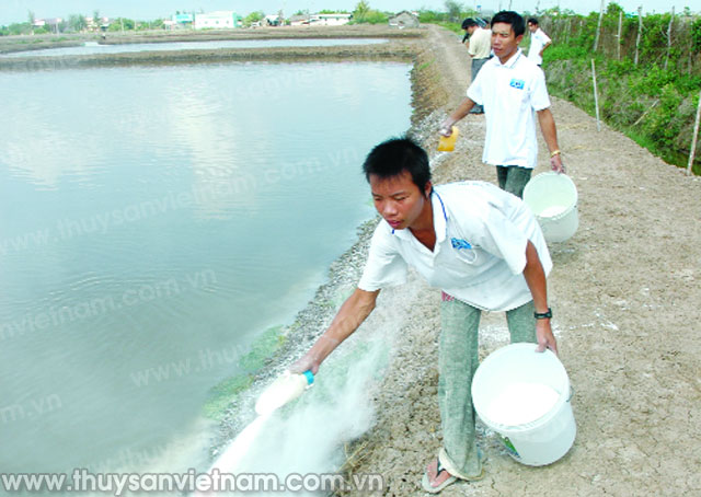 Sử dụng sản phẩm xử lý môi trường đúng cách