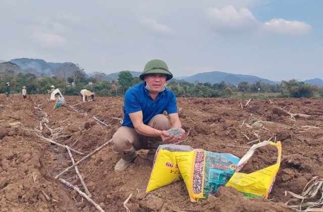 Cần có hệ thống 'bệnh viện sức khỏe đất'